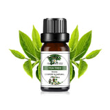 Árbol de té